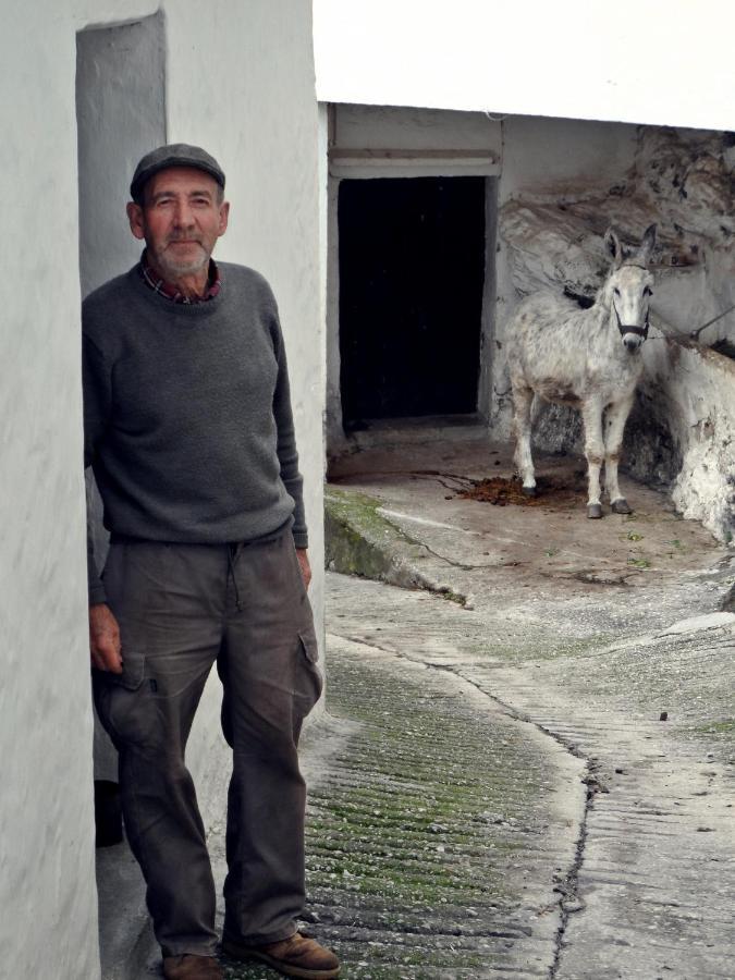 Ferienwohnung Casa Pepe La Rosa Atico Tolox Exterior foto