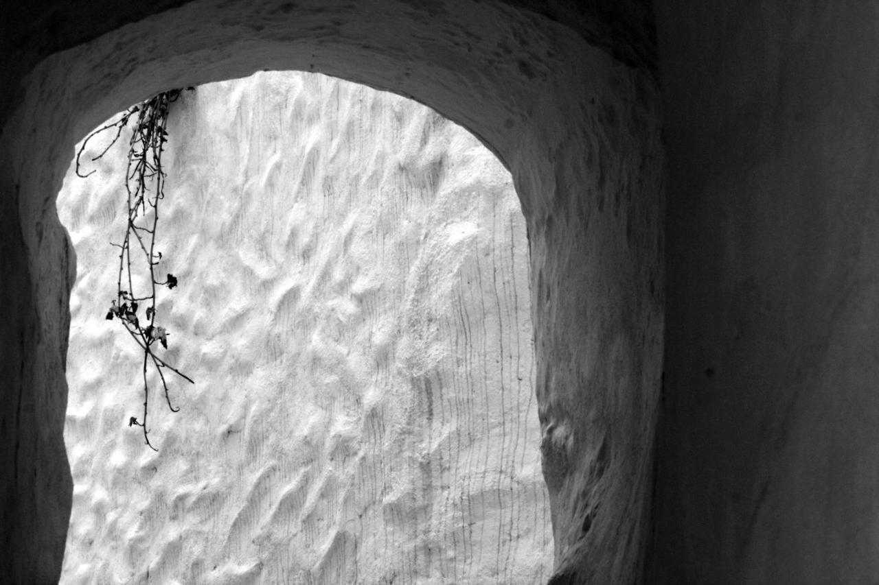 Ferienwohnung Casa Pepe La Rosa Atico Tolox Exterior foto
